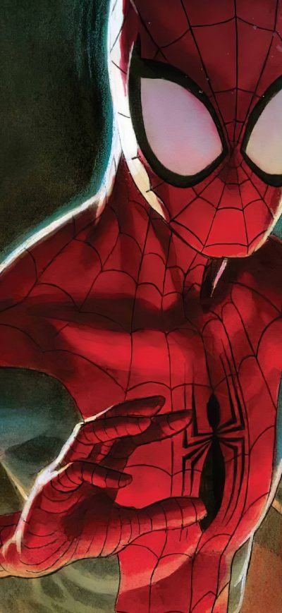 Fond d'écran iPhone Spider Man Friendly
