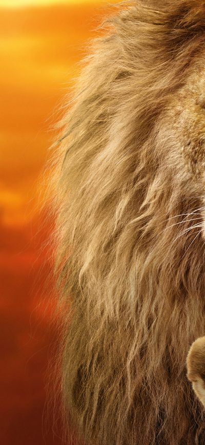 Fond d'écran iPhone The Lion King 8k