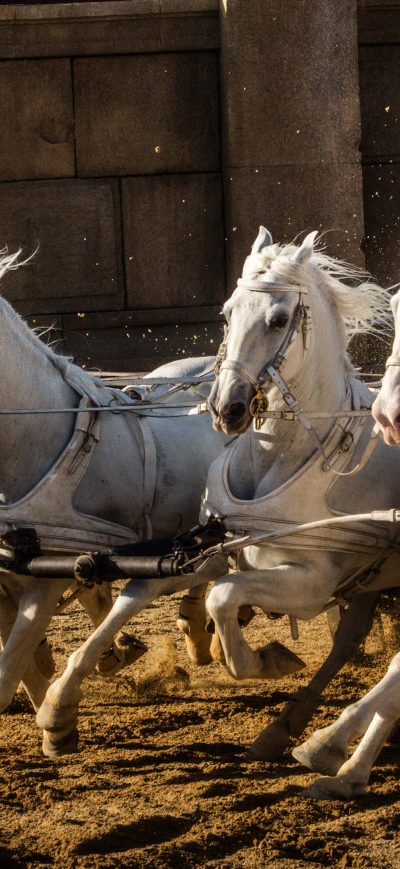 Fond d'écran iPhone Ben Hur 2016