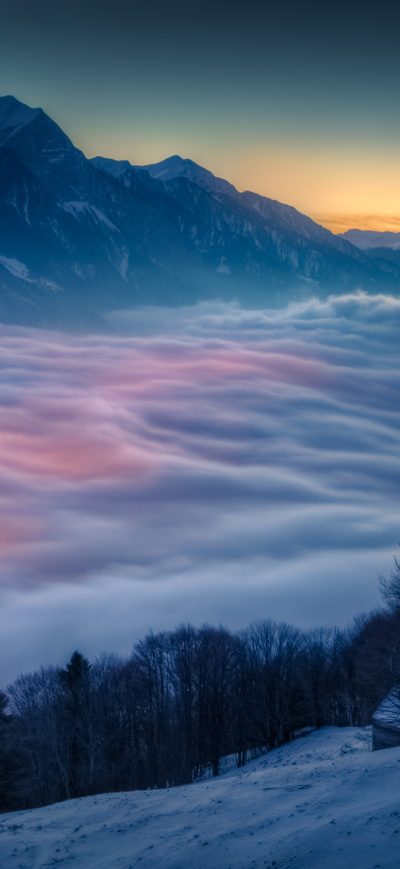 Fond d'écran iPhone Landscape Mist Snow Mountains Trees 4k