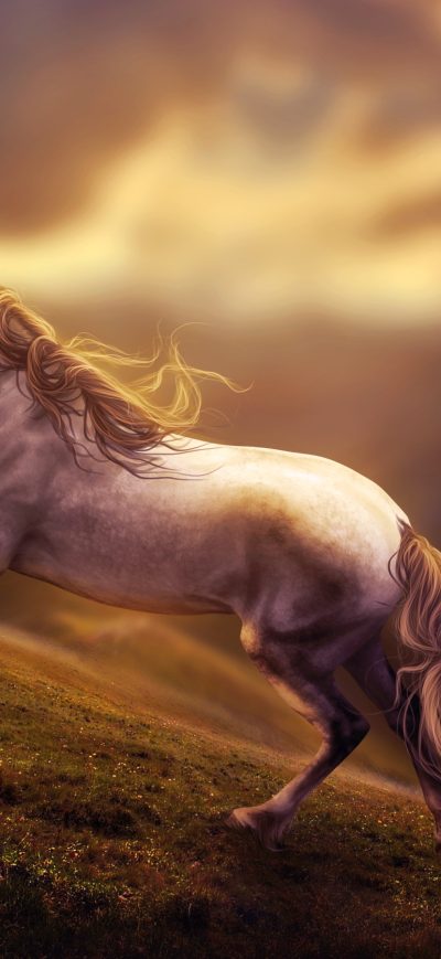 Fond d'écran iPhone Amazing Horse Art