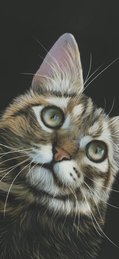 Fond d'écran iPhone Cat Painting 4k