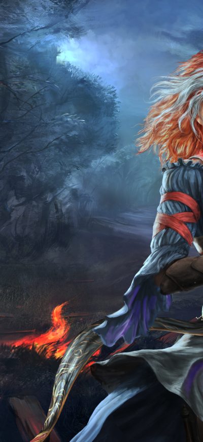 Fond d'écran iPhone Divinity Original Sin 2