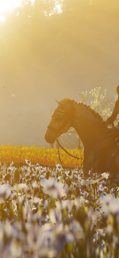 Fond d'écran iPhone Assassins Creed Odyssey Fields 4k