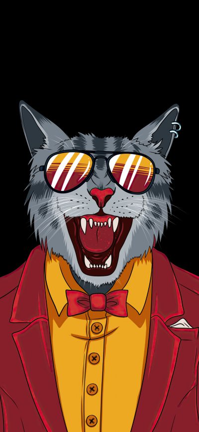 Fond d'écran iPhone Cool Cat Minimal 4k