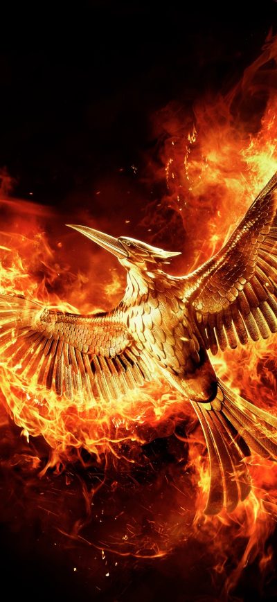 Fond d'écran iPhone The Hunger Games MockingJay Part 2 Movie