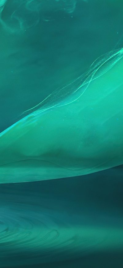 Fond d'écran iPhone Dolphin Music