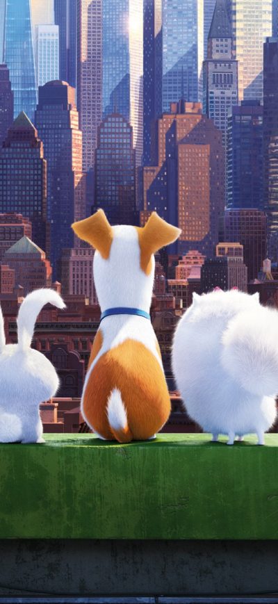 Fond d'écran iPhone The Secrete Life of Pets Movie
