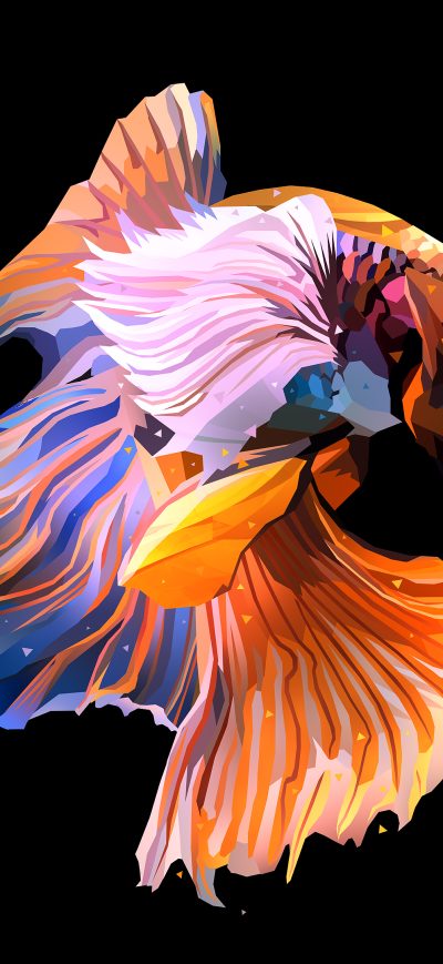Fond d'écran iPhone Fish Oled Dark