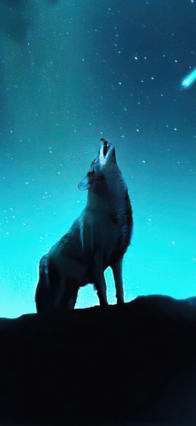 Fond d'écran iPhone Fox Howling Night Stars 4k