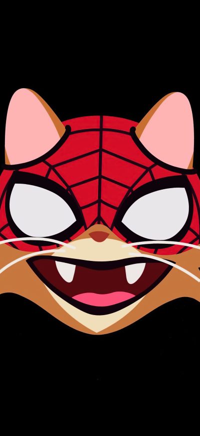 Fond d'écran iPhone Cat Spiderman Minimal 4k