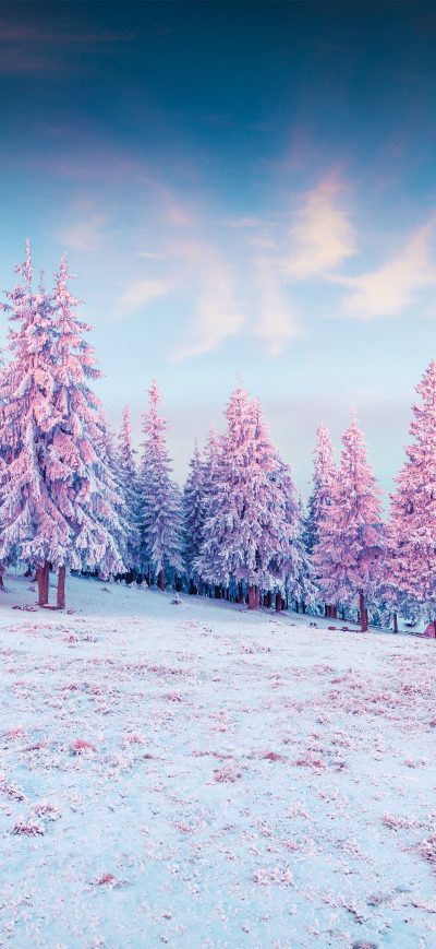 Fond d'écran iPhone Trees Pink Colorful Cold Hills Snow 5k