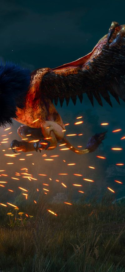 Fond d'écran iPhone The Witcher 3 Royal Griffin Blue 4k