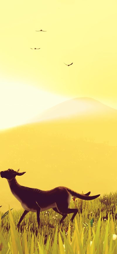 Fond d'écran iPhone No Mans Sky Art