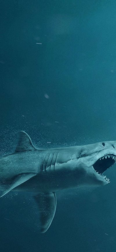Fond d'écran iPhone The Meg Movie 4k