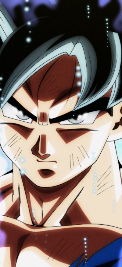 Fond d'écran iPhone Ultra Instinct Dragon Ball Super