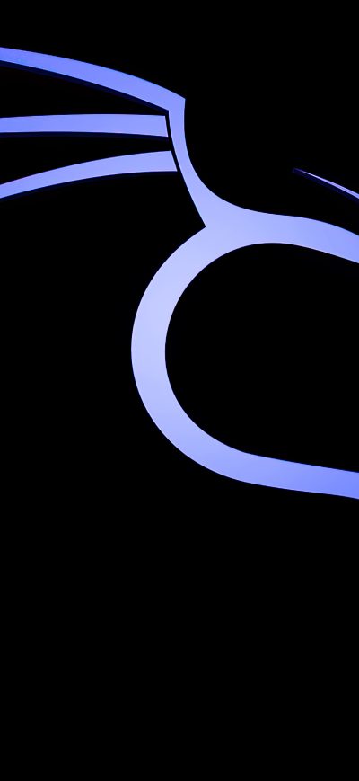 Fond d'écran iPhone BackTrack Linux