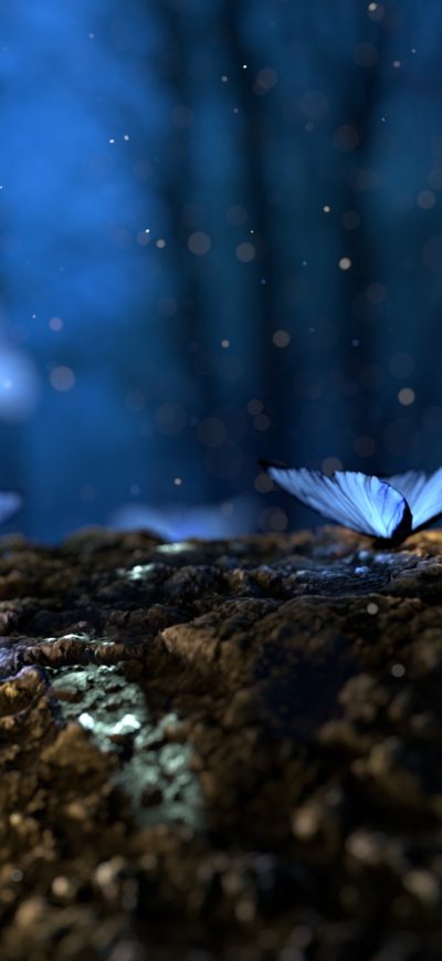 Fond d'écran iPhone Butterfly Mushrooms Forest Fantasy