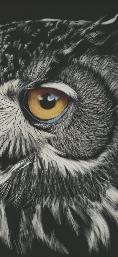 Fond d'écran iPhone Owl Painting 4k