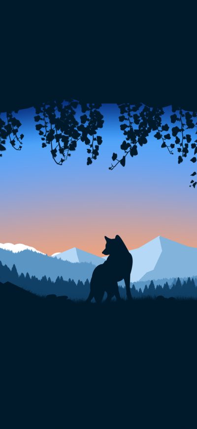 Fond d'écran iPhone Wolf Cave Minimalist 4k