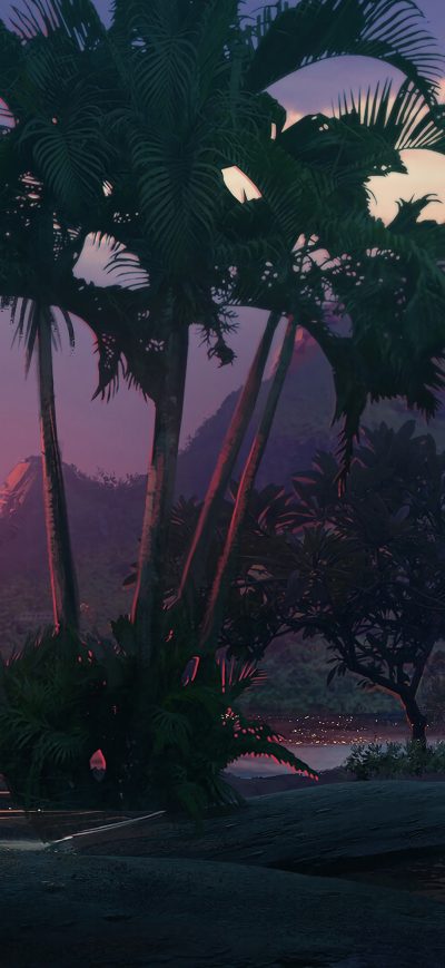 Fond d'écran iPhone Palm Tree 4k