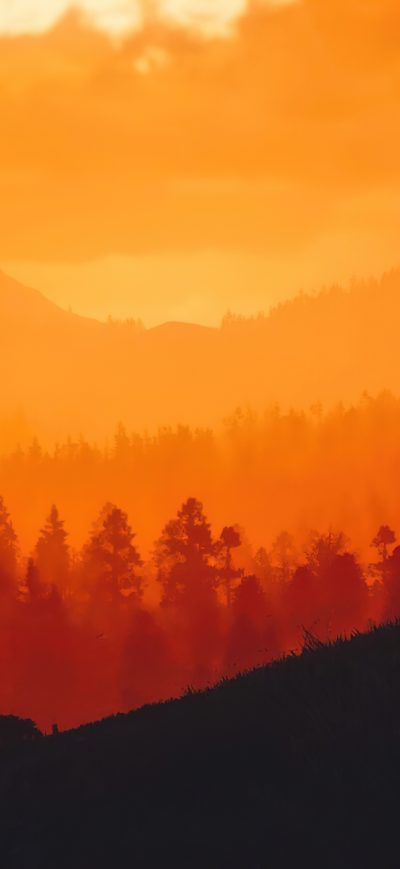 Fond d'écran iPhone Red Dead Redemption 2 Sunset Time 8k