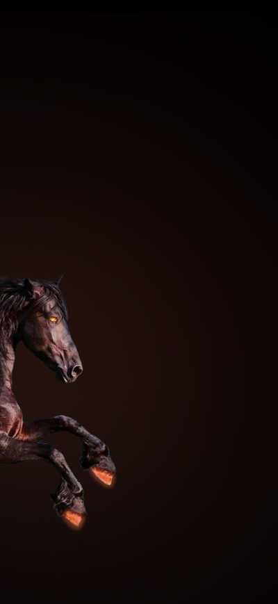 Fond d'écran iPhone Ktm Horse