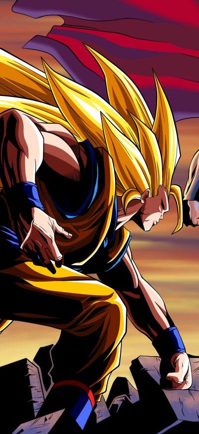 Fond d'écran iPhone Goku Vs Superman