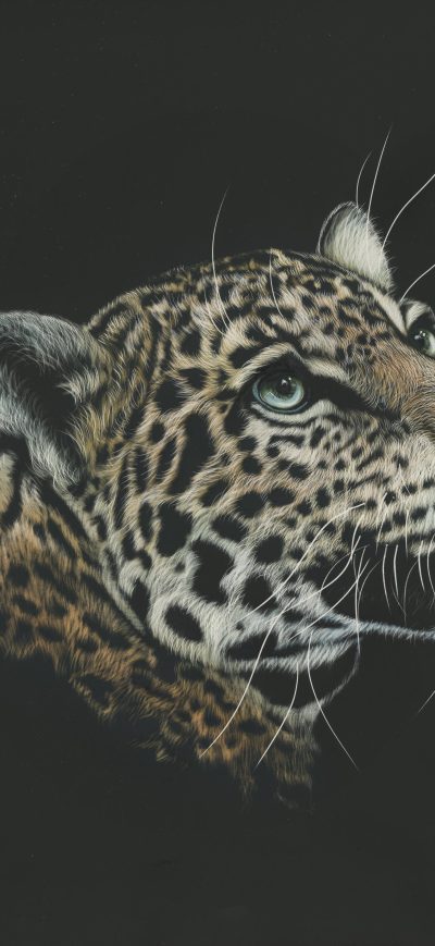Fond d'écran iPhone Leopard Painting 4k