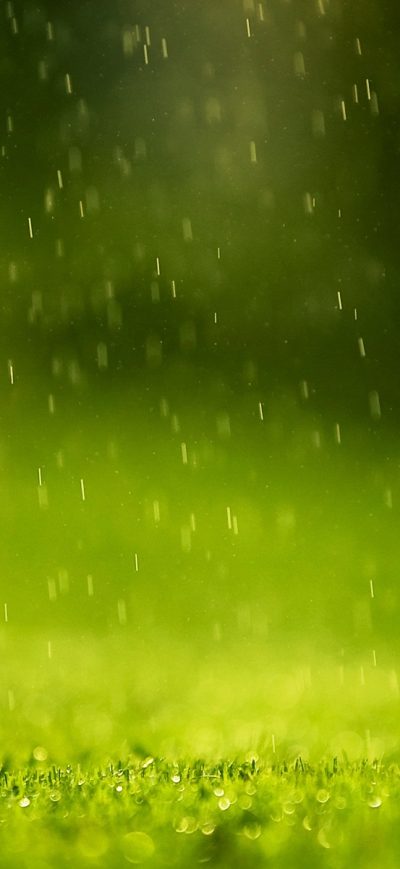 Fond d'écran iPhone Beautiful Rain Drops