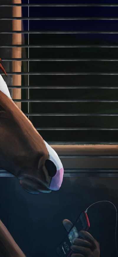Fond d'écran iPhone BoJack Horseman