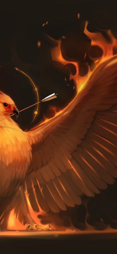 Fond d'écran Phoenix sur iPhone