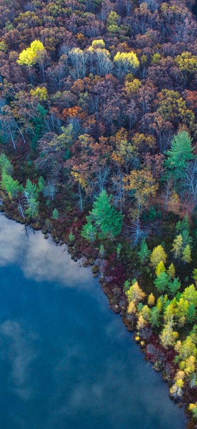 Fond d'écran iPhone Aerial View From Top Trees 4k