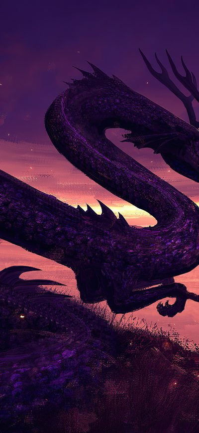 Fond d'écran iPhone Dragon Training 4k