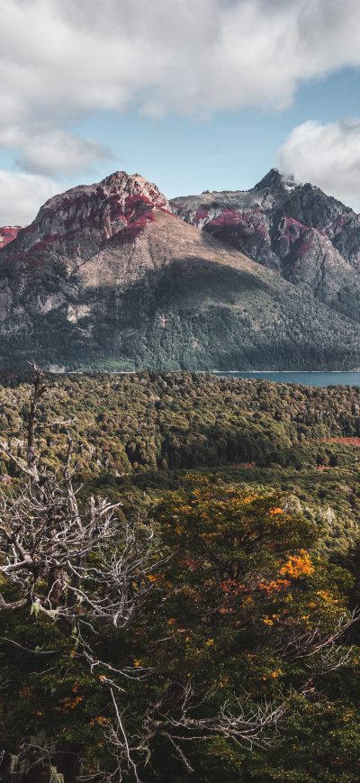 Fond d'écran iPhone Aerial Photography Forest To The Lake And The Mountains 5k