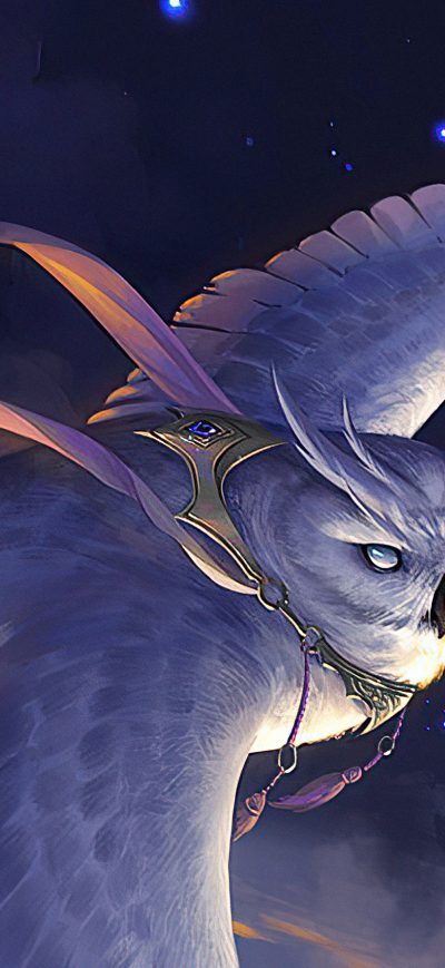 Fond d'écran iPhone Owl Highwind Glider
