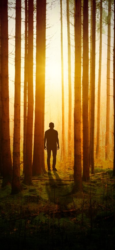 Fond d'écran iPhone Silhouette Of A Man In Woods Covered By Tress Sunbeams