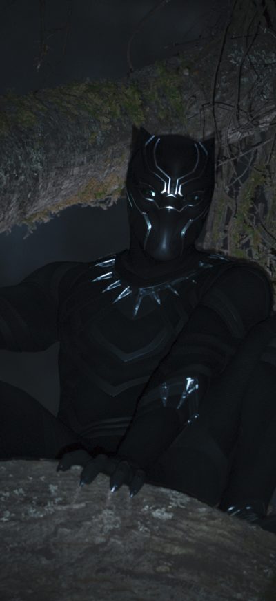 Fond d'écran iPhone Black Panther 2018 T Challa