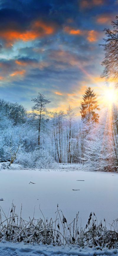 Fond d'écran iPhone Sunbeams Landscape Snow In Winter Trees 4k
