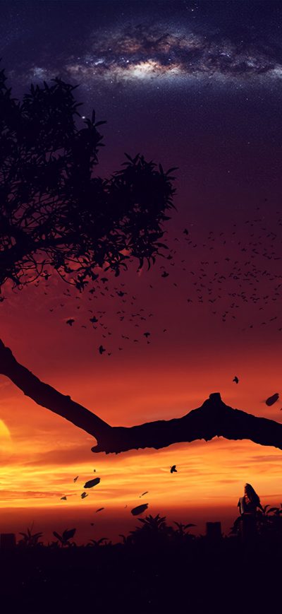 Fond d'écran iPhone Evening Tree Sunset Digital Art