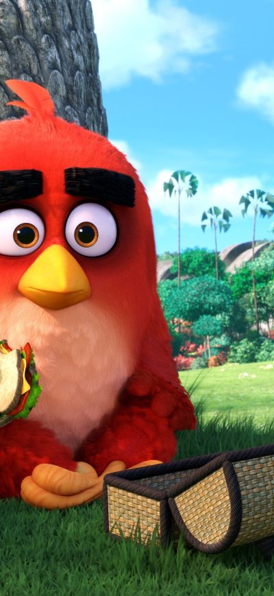 Fond d'écran iPhone Angry Birds Main Character