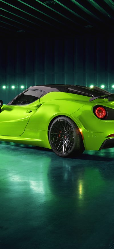 Fond d'écran iPhone Pogea Racing Centurion Green Arrow 2018 Rear View