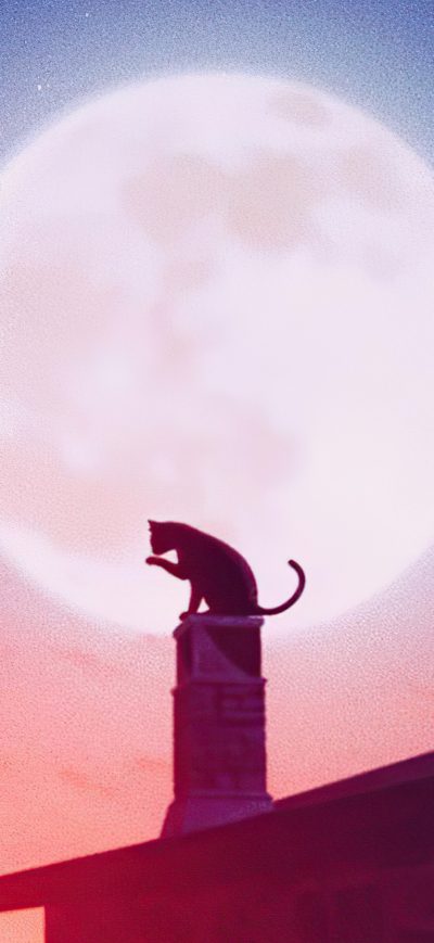 Fond d'écran iPhone Cat Roof Big Moon 4k