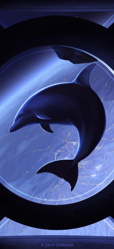 Fond d'écran iPhone Spaceship Dolphin Night Painting 5k