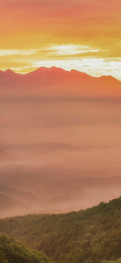 Fond d'écran iPhone Green Trees On Mountain During Sunrise 4k