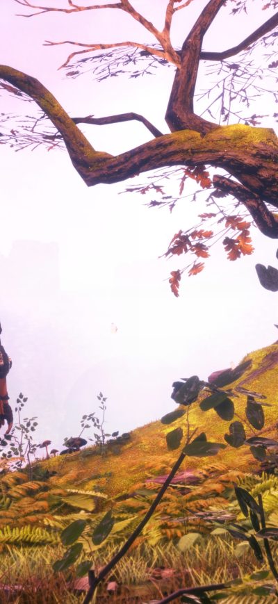 Fond d'écran iPhone 2019 A Plague Tale Innocence Game 5k