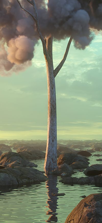 Fond d'écran iPhone Boy Alone Clouds On Tree 4k