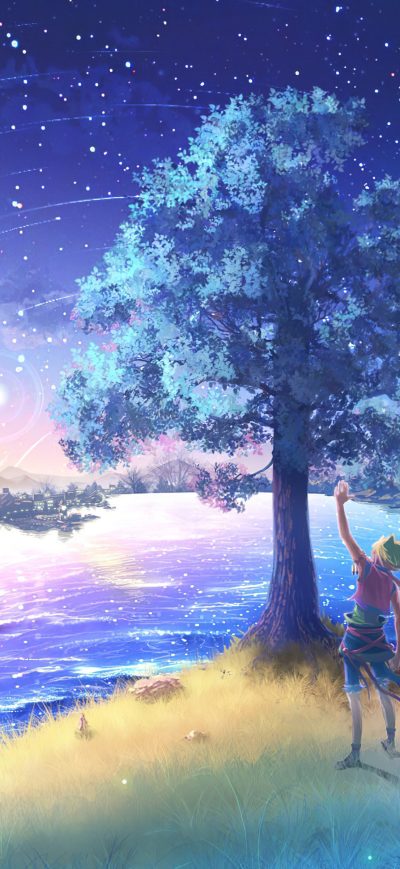 Fond d'écran iPhone Tree Where Wishes Come True 4k