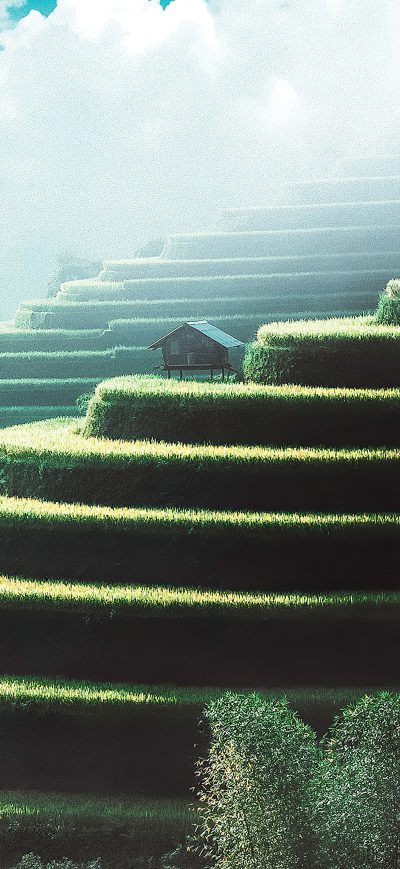 Fond d'écran iPhone House On Magical Stairs