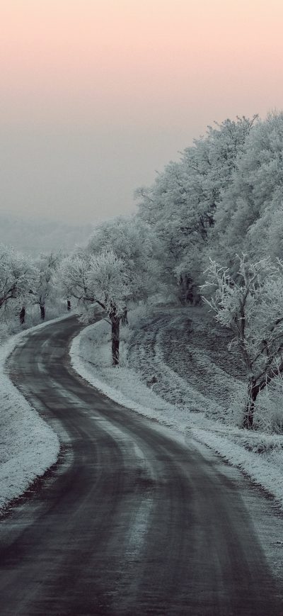 Fond d'écran iPhone Winter Road Snow Frozen Trees On Sides 5k